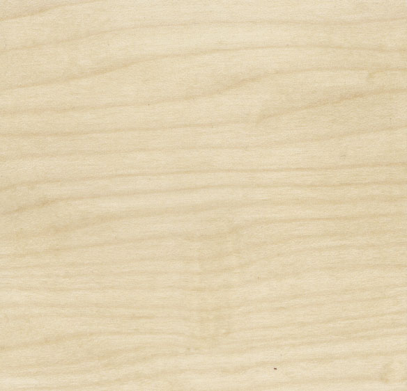 maple